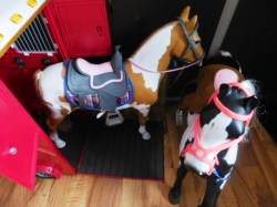 OUR GENERATION AMERICAN GIRL DOLL 20" OG PALAMINO OR BLACK AND WHITE HORSE CHOICE